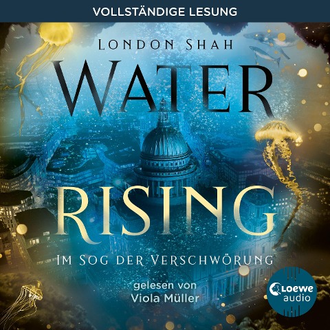 Water Rising (Band 2) - Im Sog der Verschwörung - London Shah