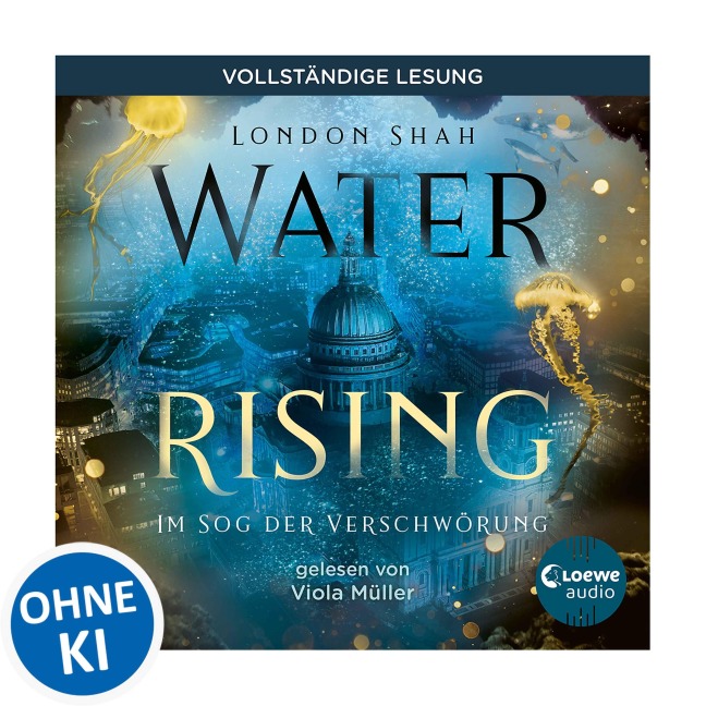Water Rising (Band 2) - Im Sog der Verschwörung - London Shah