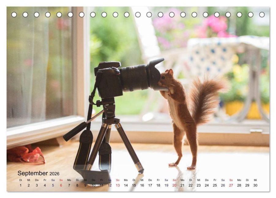 InsideView 14