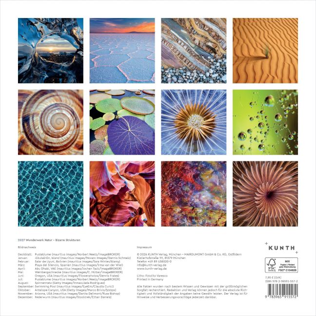 InsideView 15