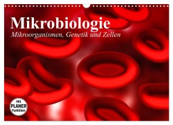 Mikrobiologie. Mikroorganismen, Genetik und Zellen (Wandkalender 2025 DIN A3 quer), CALVENDO Monatskalender - Elisabeth Stanzer