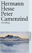 Peter Camenzind - Hermann Hesse