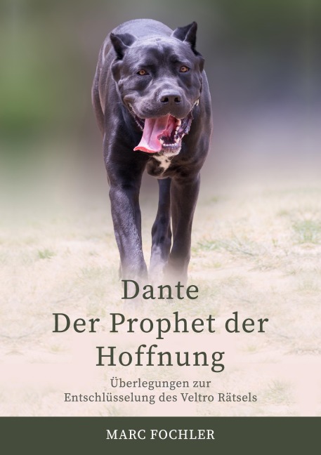 Dante - Der Prophet der Hoffnung - Marc Fochler