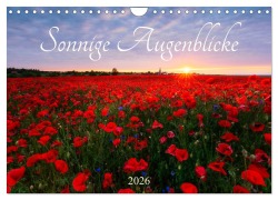 Cover-Bild zum Titel 'Sonnige Augenblicke (Wandkalender 2026 DIN A4 quer), CALVENDO Monatskalender' von 'Daniela Beyer (Moqui)'