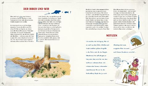 InsideView 8