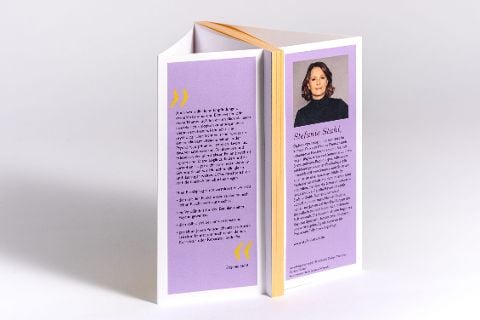 InsideView 6
