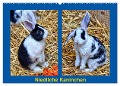 Niedliche Kaninchen (Wandkalender 2024 DIN A2 quer), CALVENDO Monatskalender - Kattobello Kattobello