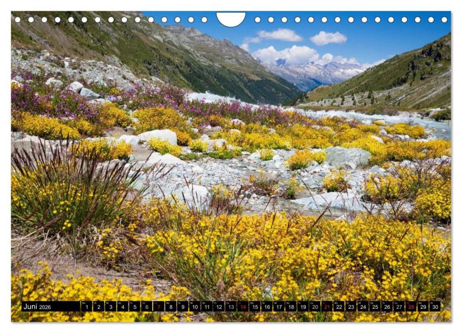 InsideView 11
