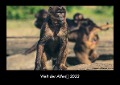 Welt der Affen 2023 Fotokalender DIN A3 - Tobias Becker