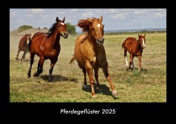 Cover-Bild zum Titel 'Pferdegeflüster 2025 Fotokalender DIN A3' von 'Tobias Becker'