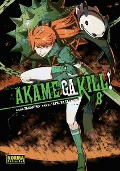 Akame ga kill! 8 - Takahiro