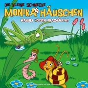 Cover-Bild zum Titel '11: Warum hopsen Grashüpfer?' von 'Kati Naumann, Klaus Brotmann'