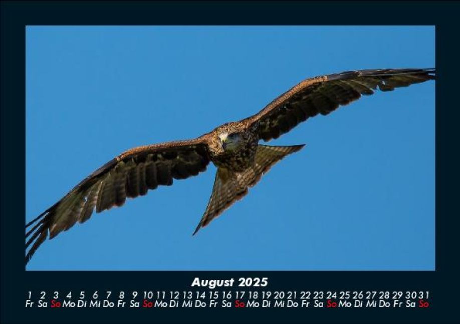 InsideView 12