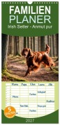 Cover-Bild zum Titel 'Familienplaner 2027 - Irish Setter - Anmut pur mit 5 Spalten (Wandkalender, 21 x 45 cm) CALVENDO' von 'Claudia Kleemann'
