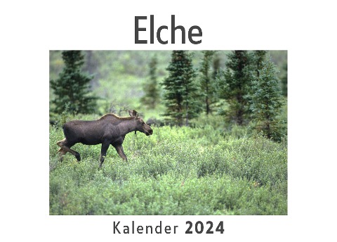 Elche (Wandkalender 2024, Kalender DIN A4 quer, Monatskalender im Querformat mit Kalendarium, Das perfekte Geschenk) - Anna Müller
