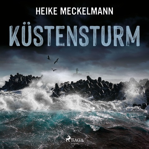 Küstensturm: Fehmarn-Krimi (Kommissare Westermann und Hartwig 6) - Heike Meckelmann