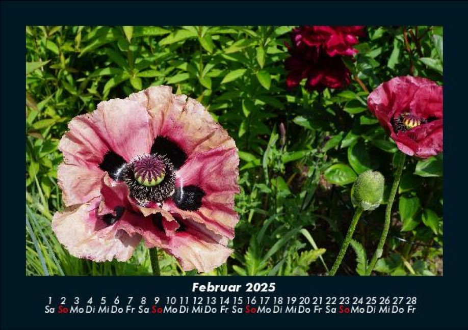 InsideView 6