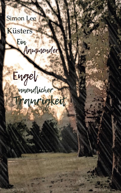 Ein flammender Engel unendlicher Traurigkeit - Simon Lee Küsters