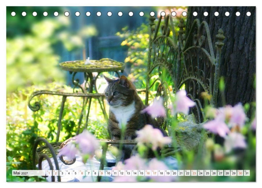 InsideView 10