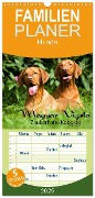 Familienplaner 2025 - Magyar Vizsla - Zauberhafte Kobolde mit 5 Spalten (Wandkalender, 21 x 45 cm) CALVENDO - Kerstin Grüttner