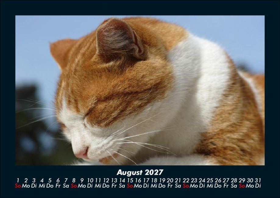 InsideView 12