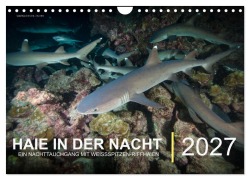 Cover-Bild zum Titel 'Haie in der Nacht (Wandkalender 2027 DIN A4 quer), CALVENDO Monatskalender' von 'Christian Hubo - feel4nature'