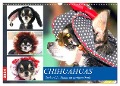 Chihuahuas. Zuckersüße Hunde im lustigen Outfit (Wandkalender 2024 DIN A3 quer), CALVENDO Monatskalender - Rose Hurley