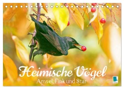 Cover-Bild zum Titel 'Amsel, Fink und Star: Heimische Vögel (Tischkalender 2026 DIN A5 quer), CALVENDO Monatskalender' von 'Calvendo Calvendo'