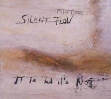 It is but it's not - Peter Lenz Silent Flow