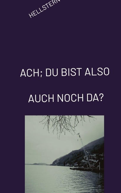 ACH; DU BIST ALSO AUCH NOCH DA? - Hellstern