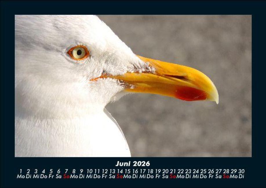 InsideView 10