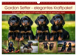 Cover-Bild zum Titel 'Gordon Setter - elegantes Kraftpaket (Wandkalender 2026 DIN A3 quer), CALVENDO Monatskalender' von 'Claudia Kleemann'