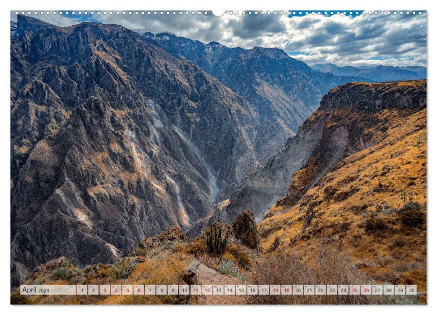 InsideView 9