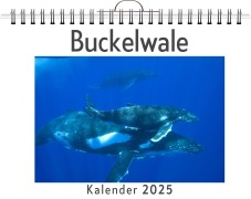 Cover-Bild zum Titel 'Buckelwale' von 'Lena Klein'