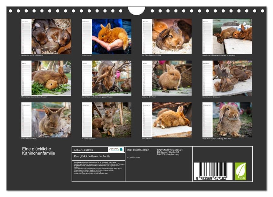 InsideView 5
