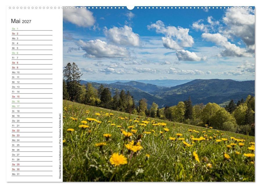 InsideView 10