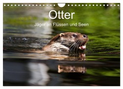 Cover-Bild zum Titel 'Otter - Jäger an Flüssen und Seen (Wandkalender 2026 DIN A4 quer), CALVENDO Monatskalender' von 'Cloudtail The Snow Leopard'