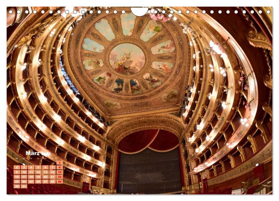 InsideView 8