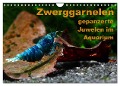 Zwerggarnelen - gepanzerte Juwelen im Aquarium (Wandkalender 2024 DIN A4 quer), CALVENDO Monatskalender - Florian Franzmann