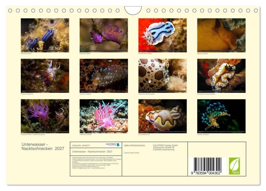 InsideView 5