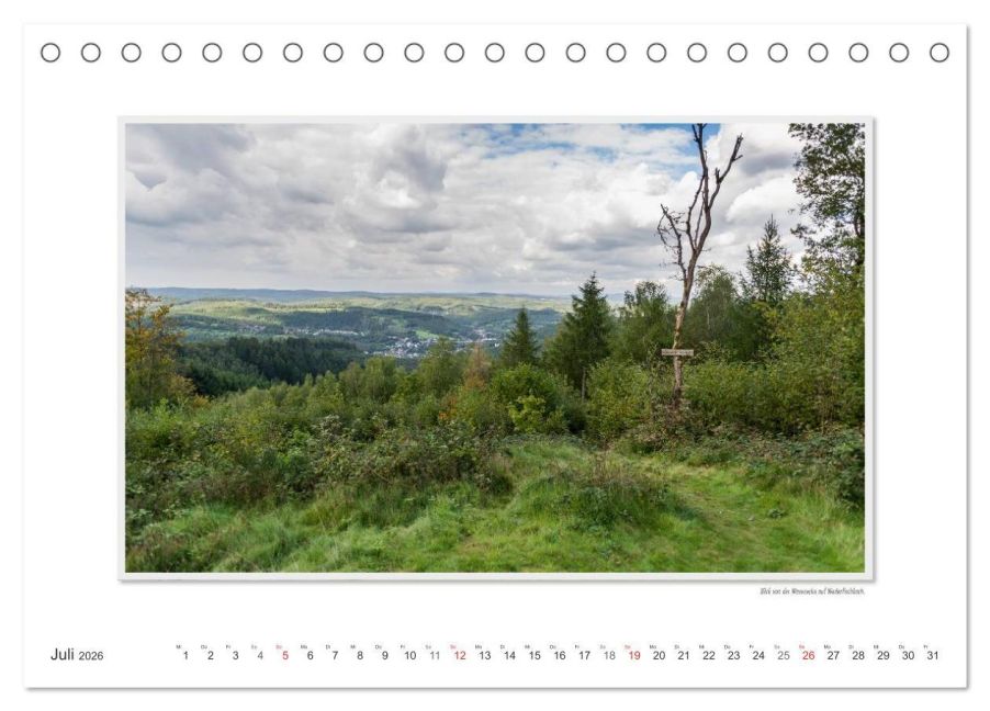 InsideView 12
