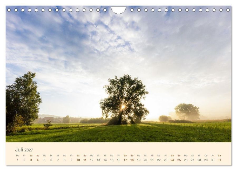 InsideView 12