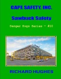 Cape Safety, Inc. Sawbuck Safety (Danger Dogs Series, #10) - Richard Hughes