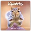 Squirrels - Eichhörnchen - Grauhörnchen 2025 - 16-Monatskalender - Avonside Publishing Ltd