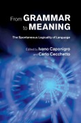 Cover-Bild zum Titel 'From Grammar to Meaning' von ''