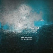 Cover-Bild zum Titel 'The Roaring Waves' von 'Steve Rothery Steve Hackett'