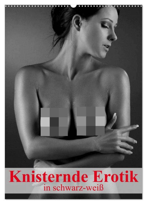Knisternde Erotik in schwarz-weiß (Wandkalender 2026 DIN A2 hoch), CALVENDO Monatskalender - Elisabeth Stanzer