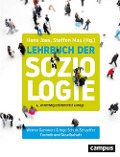 Technik und Gesellschaft - Werner Rammert, Ingo Schulz-Schaeffer