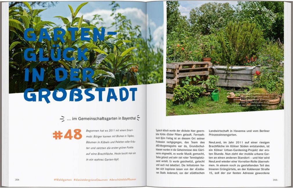 InsideView 13