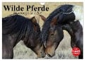 Wilde Pferde. Mustangs in USA (Wandkalender 2024 DIN A4 quer), CALVENDO Monatskalender - Elisabeth Stanzer